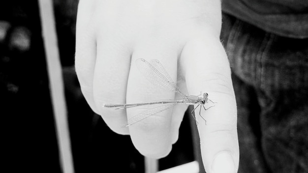 Mâini care brodează un model delicat